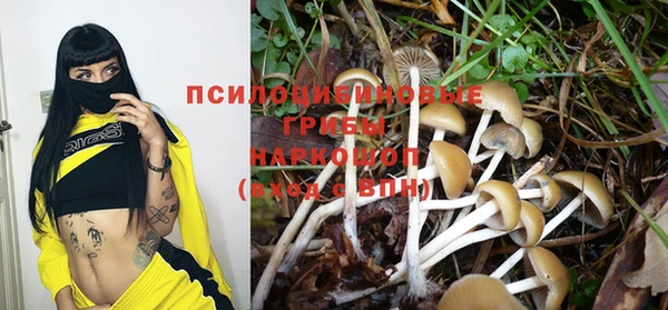 соль курить ск Инсар