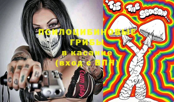 амф Инта
