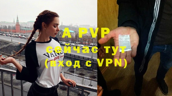амф Инта