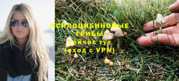 амф Инта
