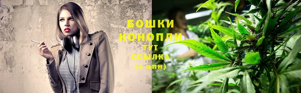 амф Инта