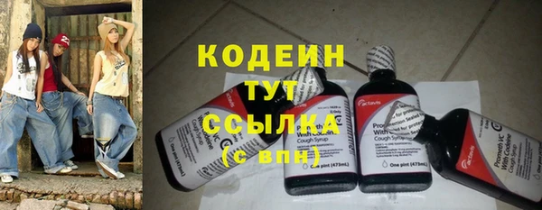 амф Инта