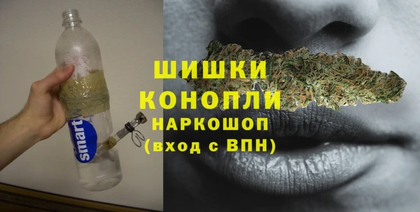 амф Инта