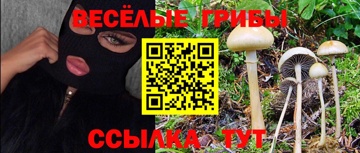 Псилоцибиновые грибы Cubensis  Вход с VPN  Карталы 